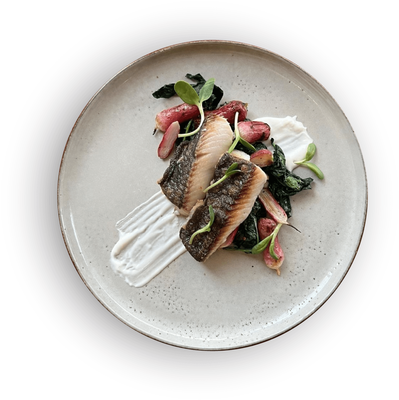 photo-plate1-min